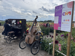 Highlighted image: BBQ, Bloei & Beats: terugblik op een kleurrijke netwerkavond!